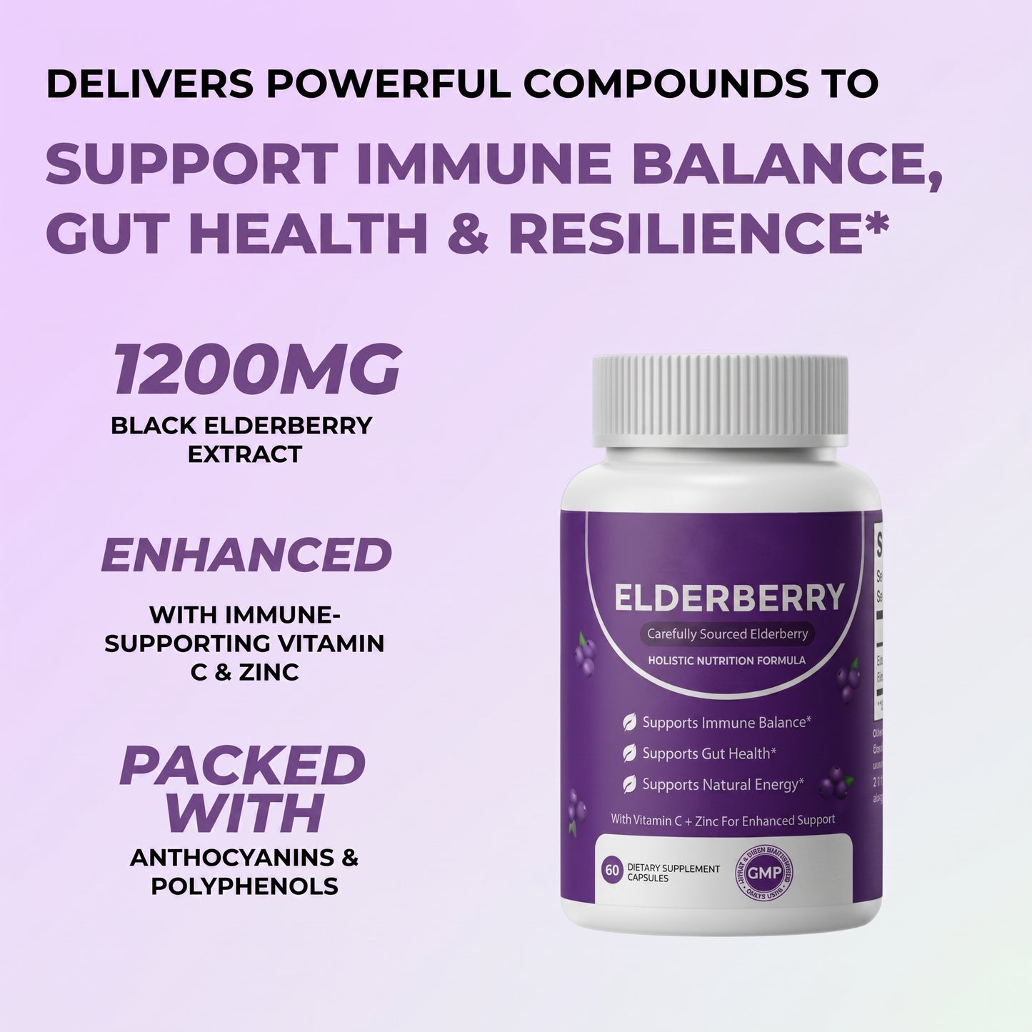 Elvera Gut Support Complex with Elderberry, Zinc & Vitamin C